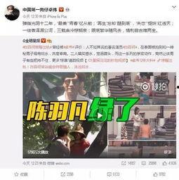 参哥出品爆料视频大全集,揭秘幕后真相，带你领略网络风云