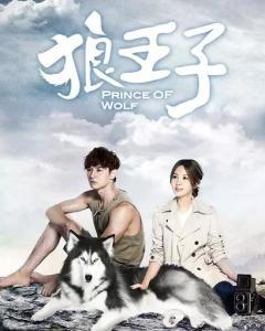 狼王子在线观看免费,免费在线观看，探寻神秘森林的奇幻之旅